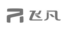 飞凡
